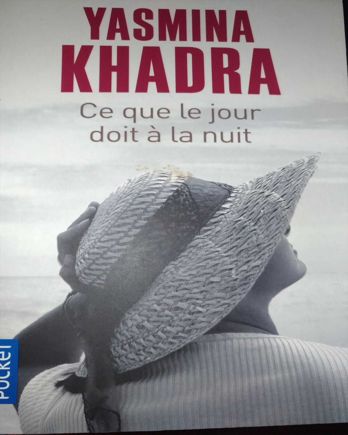 Ce que le jour doit à la nuit
